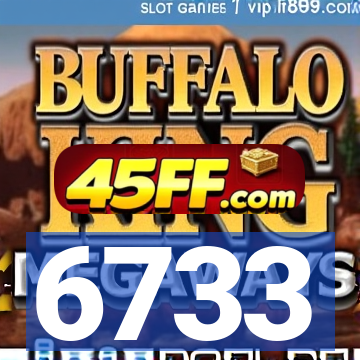 6733