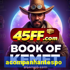 acompanhantesportovelho