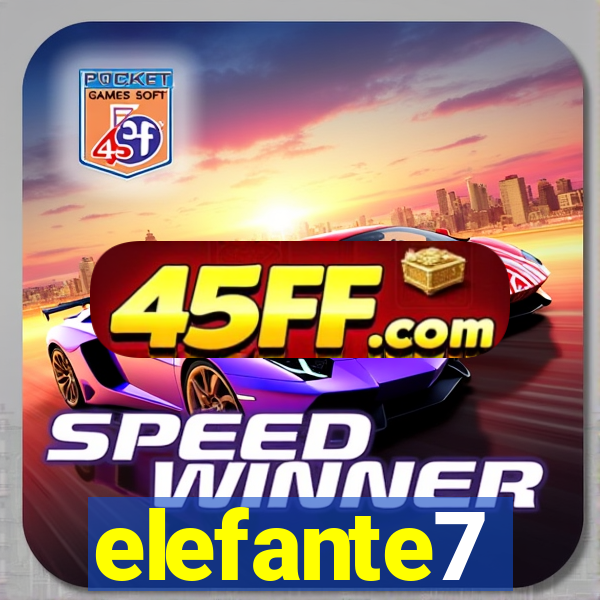 elefante7