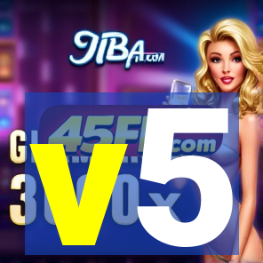 v5-lewa.com