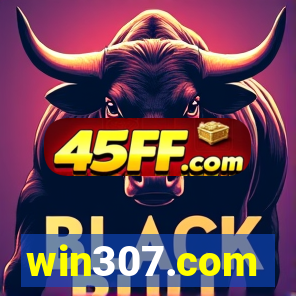 win307.com