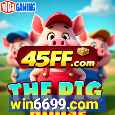 win6699.com