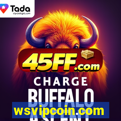 wsvipcoin.com